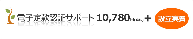 電子定款認証サポート  10,780円(税込)＋